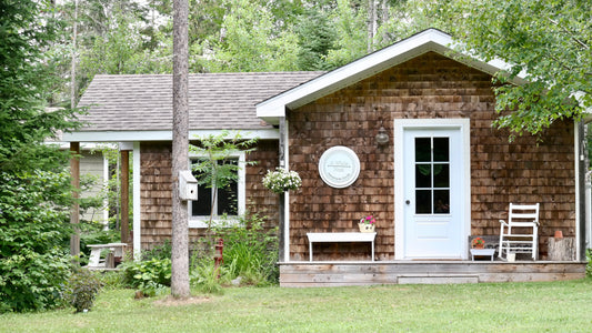 Welcome to A White Nest: Our Story