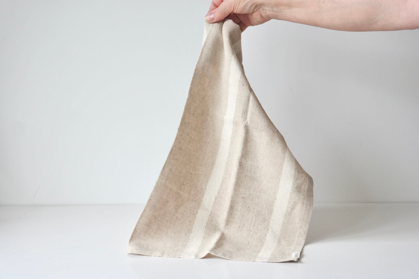 Striped Cotton Napkin Set