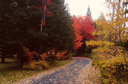 Welcome, Fall.